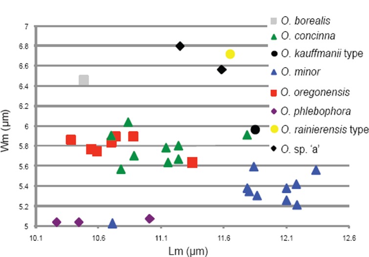 Fig. 29