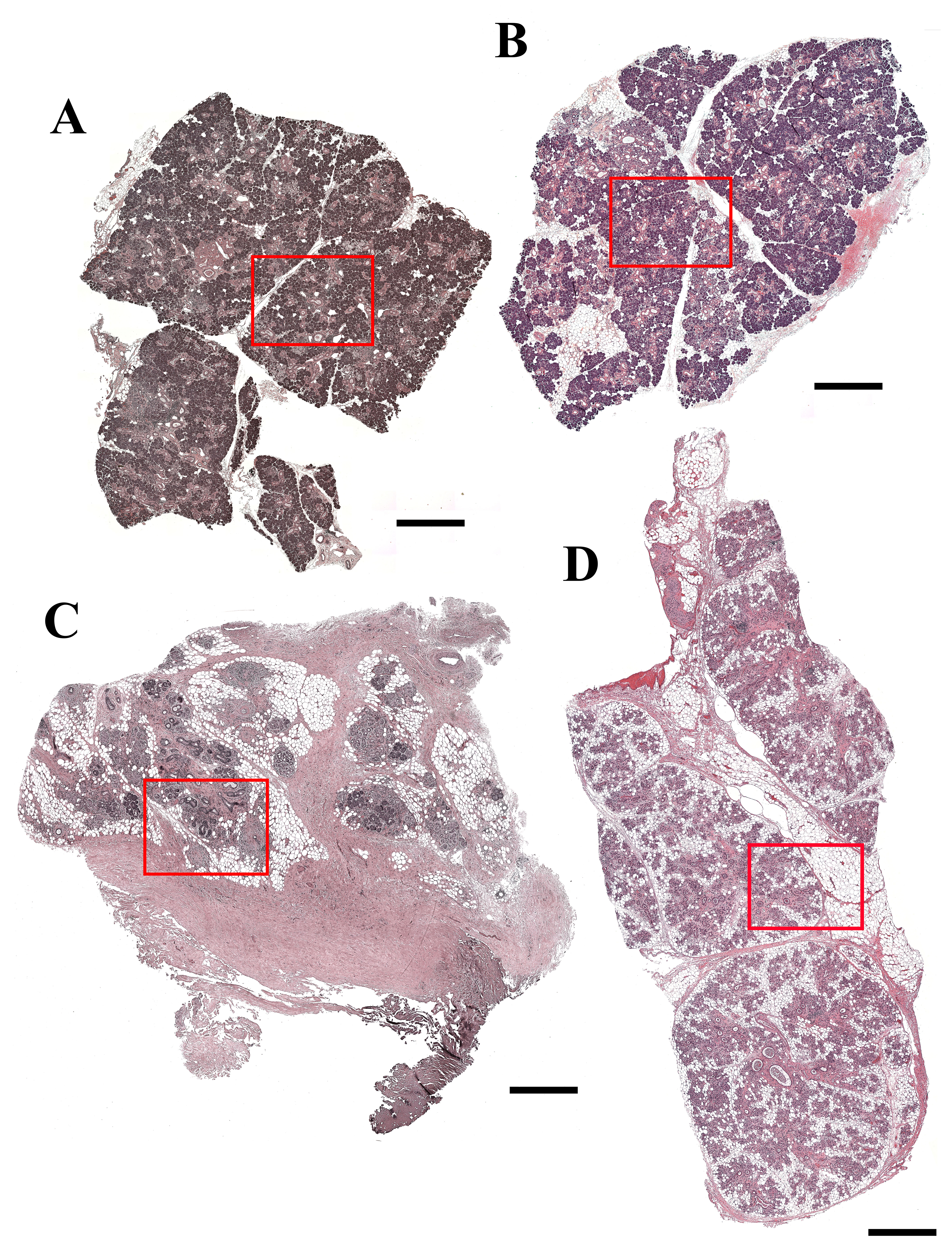 graphic file with name JHC-16-0026.R1_Production_Supplemental_Figure_1_online_supp.jpg