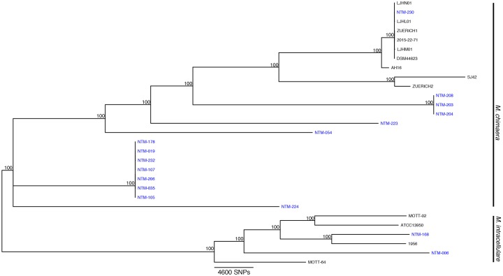 FIGURE 1