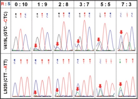 Fig. 3