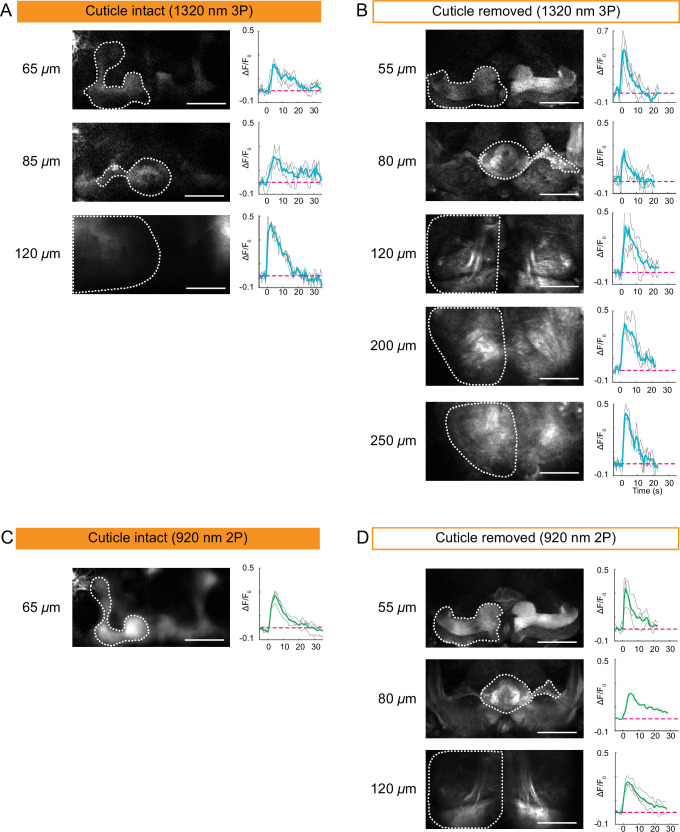 Figure 4.