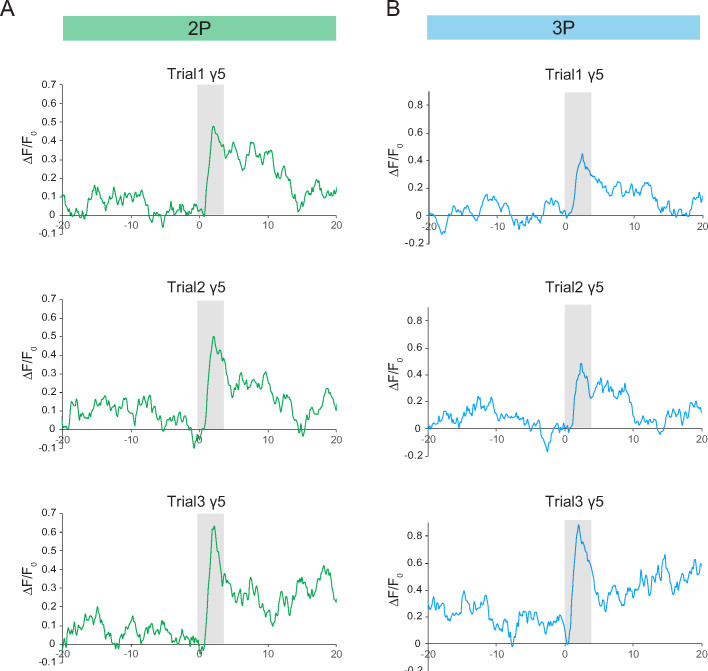 Figure 5—figure supplement 1.