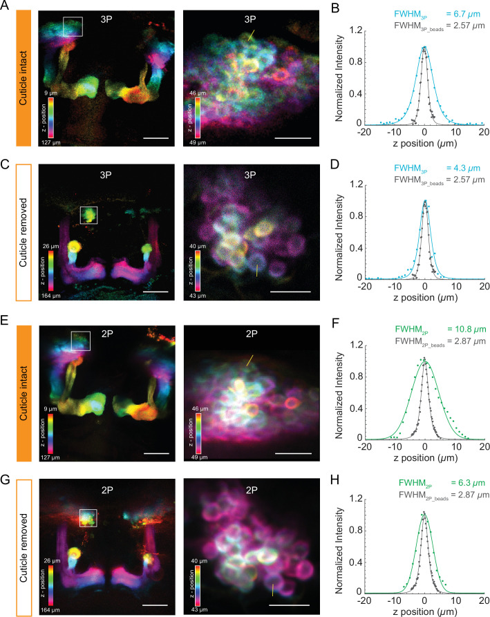 Figure 3—figure supplement 3.