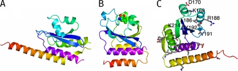 FIGURE 3.