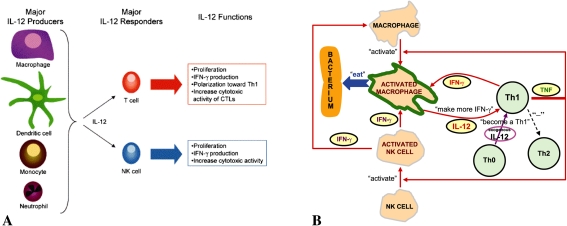 Fig. 1A–B