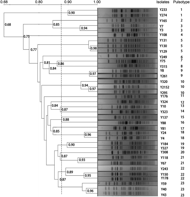 FIG 2