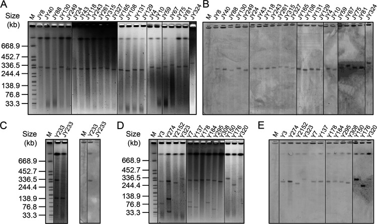 FIG 3