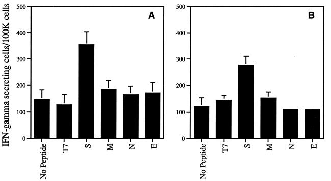 FIG. 5