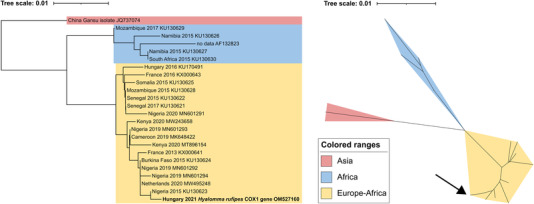 FIGURE 2