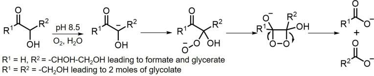 Scheme 4