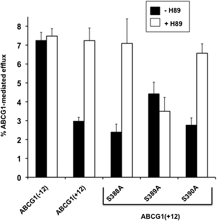 Fig. 4.