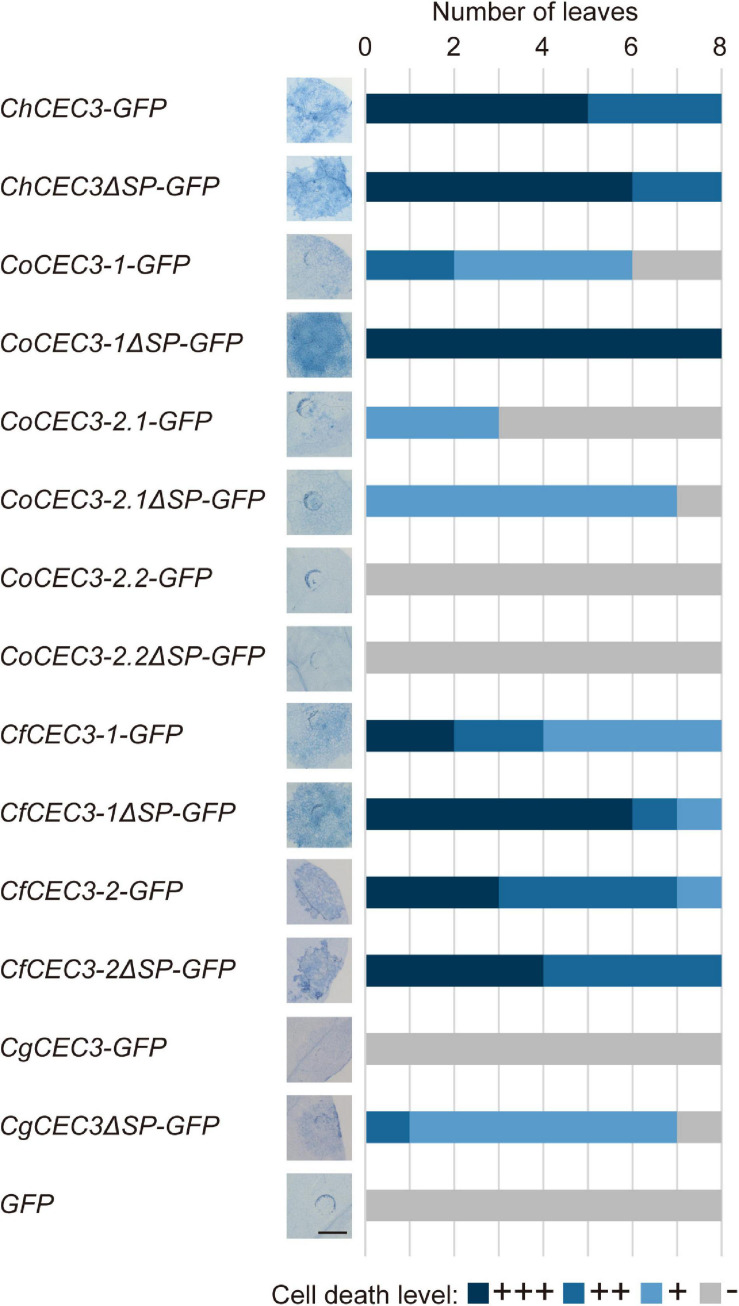 FIGURE 3