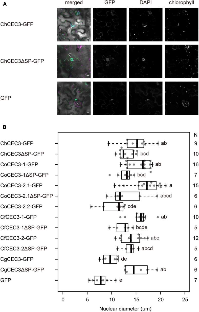 FIGURE 4