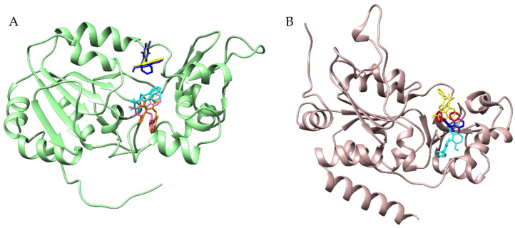 Figure 6