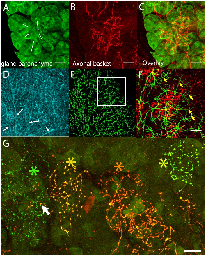 Figure 2.