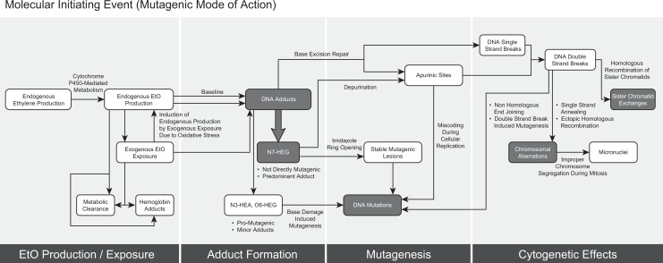 Figure 10.