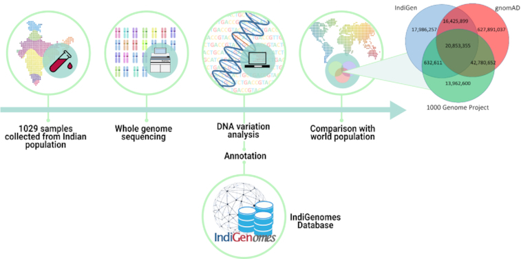 Graphical Abstract