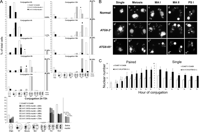 Fig 6