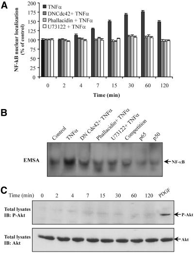 Figure 10.