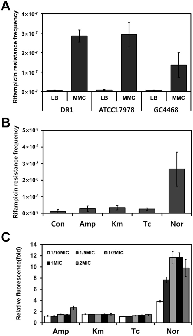 Figure 5