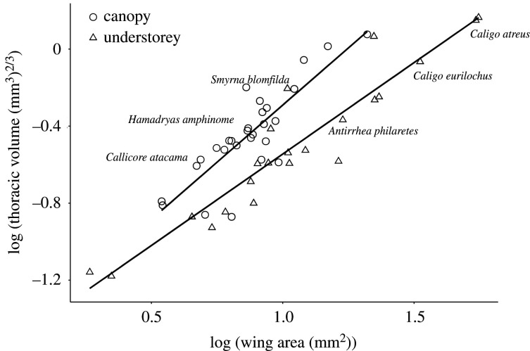 Figure 3.