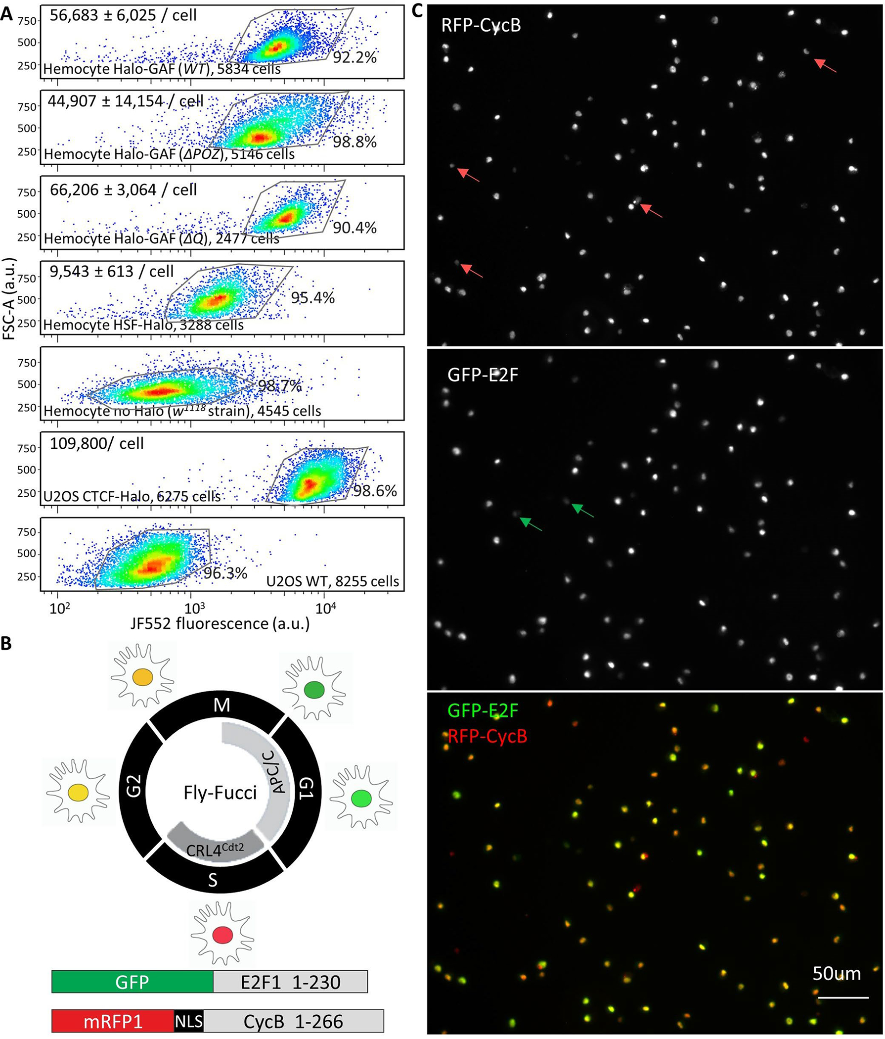 Extended Data Fig. 10 |