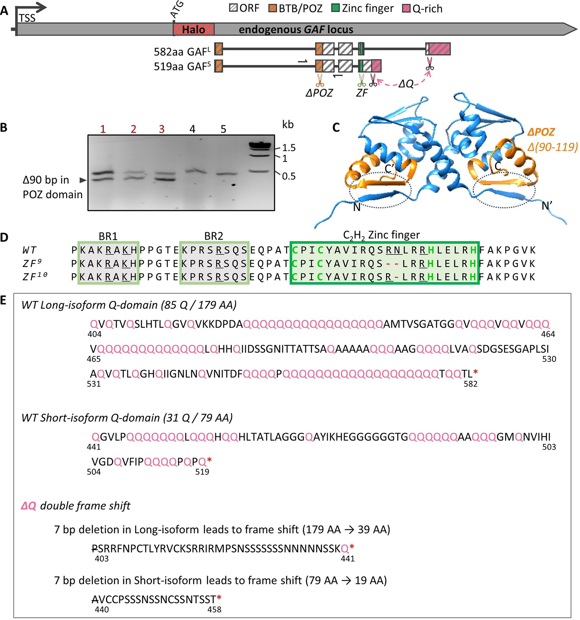 Extended Data Fig. 3 |