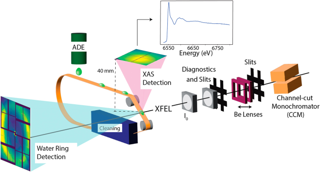 Fig. 2: