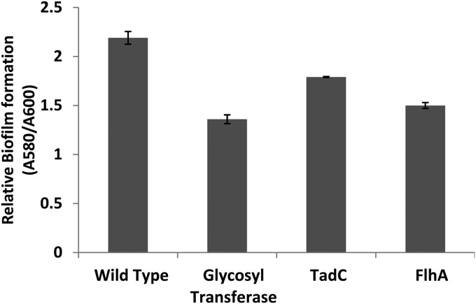 FIG 4