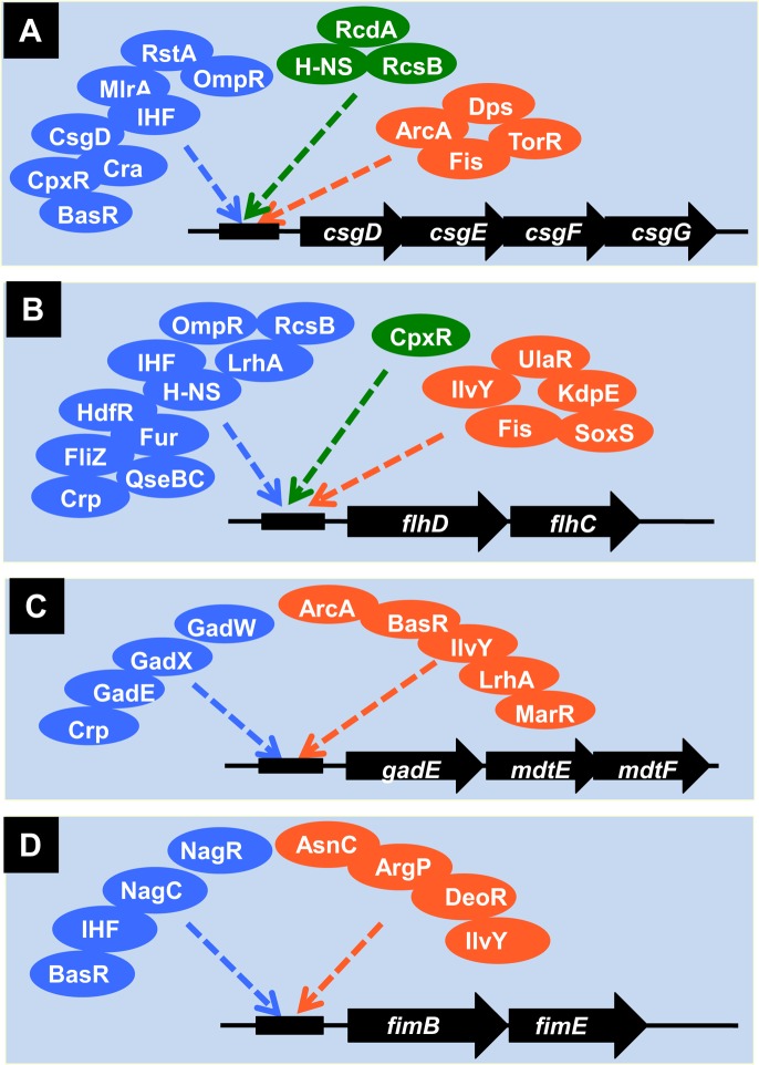 Figure 4.