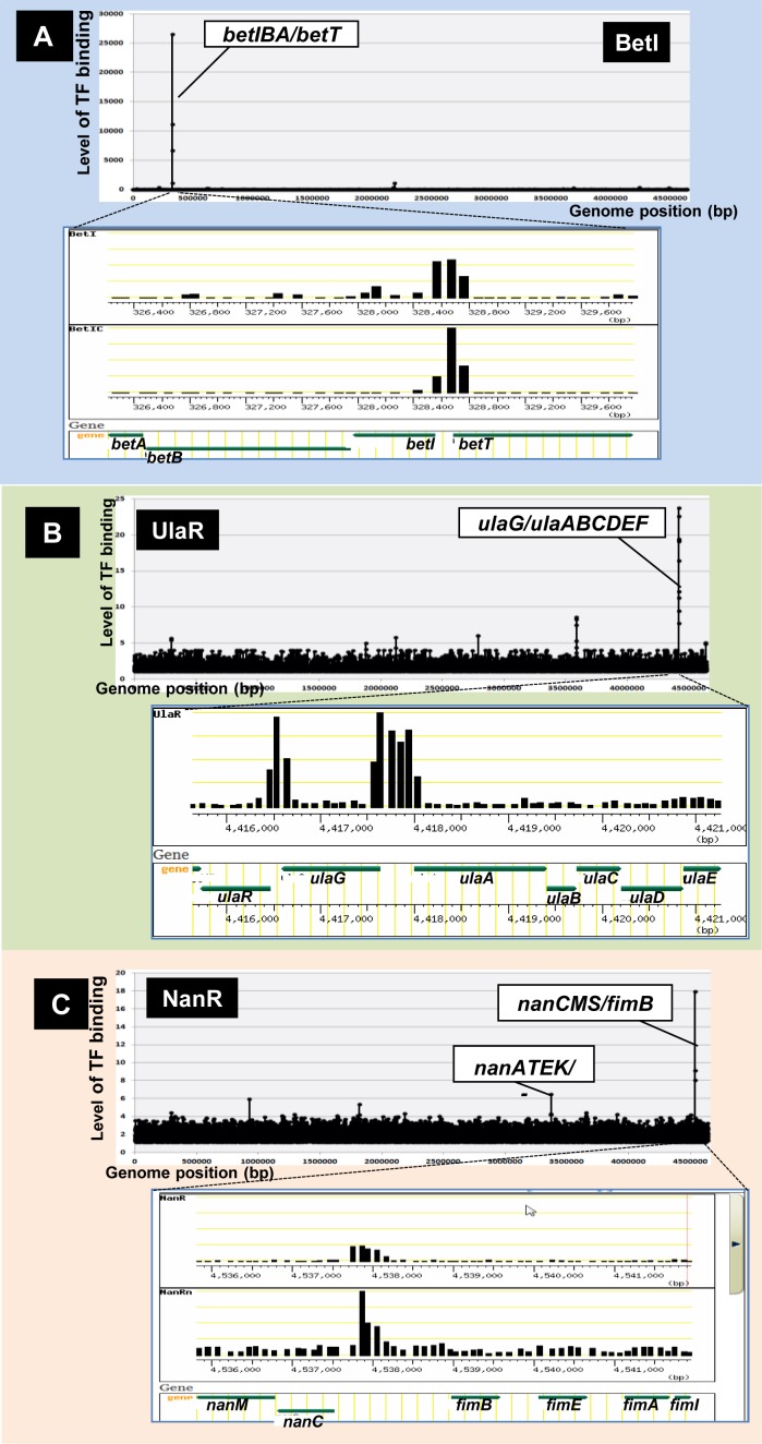 Figure 2.