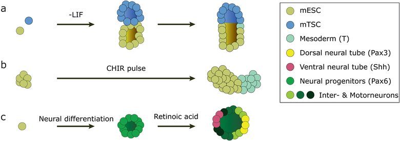 Figure 2: