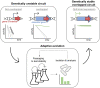 Graphical Abstract