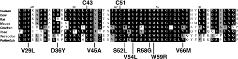 FIGURE 11.