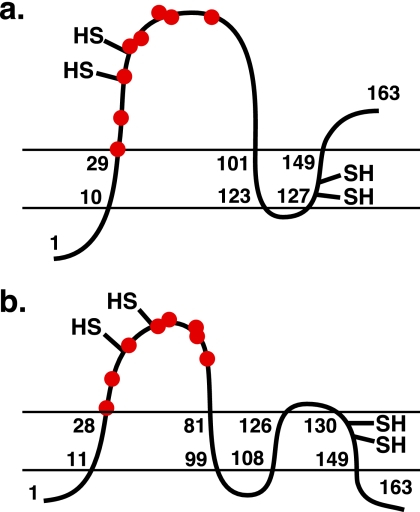 FIGURE 12.