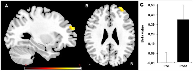 Figure 7