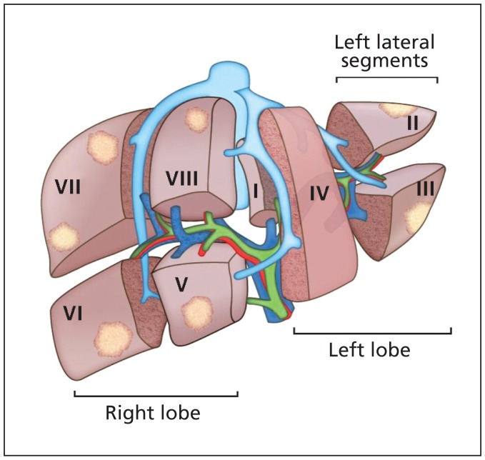 Figure 1: