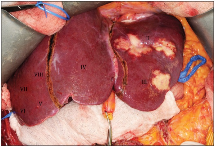 Figure 3: