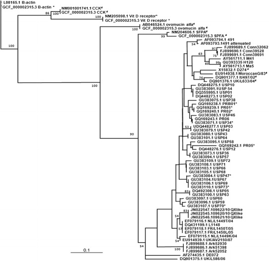 Fig. 1