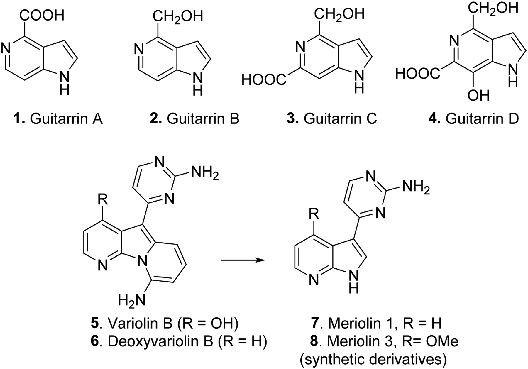 Fig. 2: