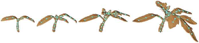 Fig 10