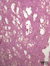 Fig. 20