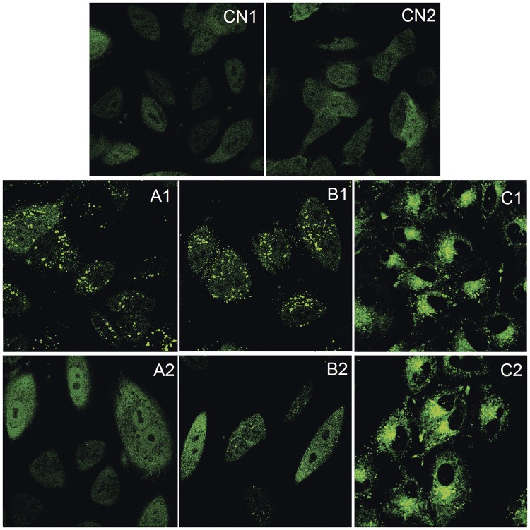 Fig 14