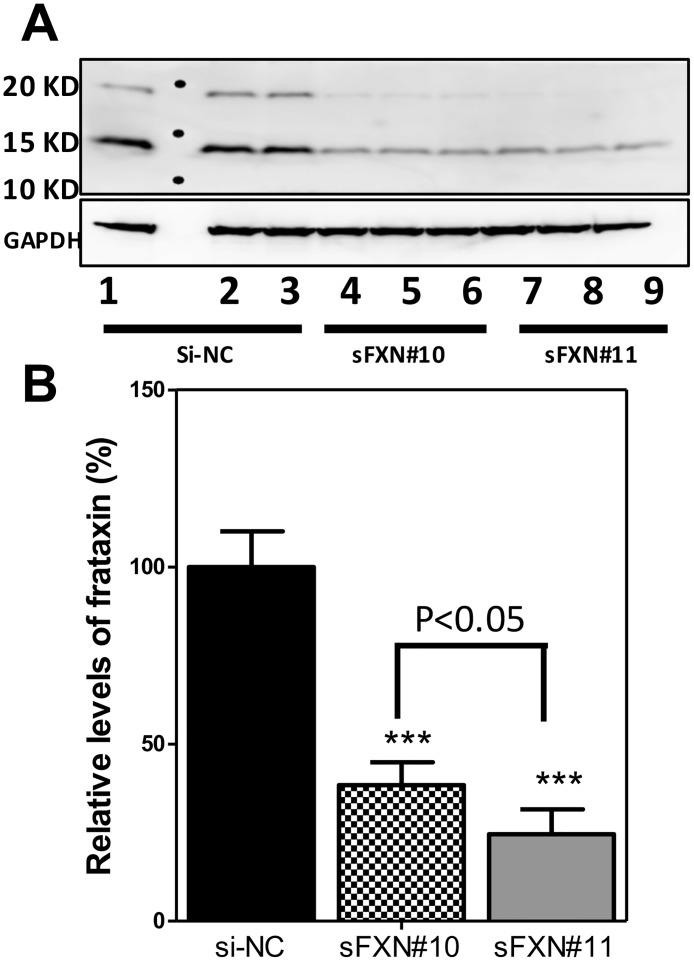 Fig 5