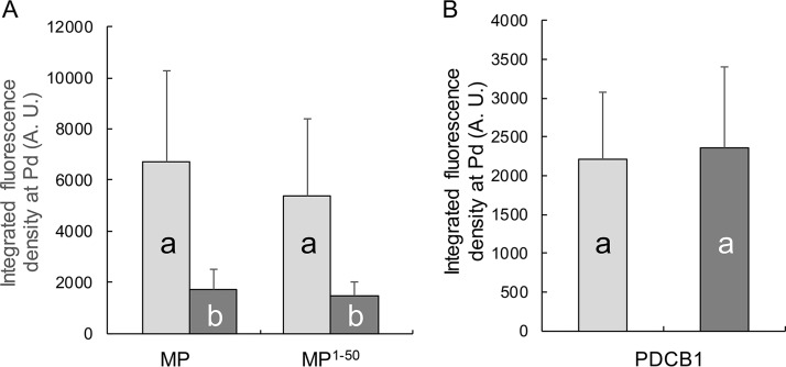 FIG 5 