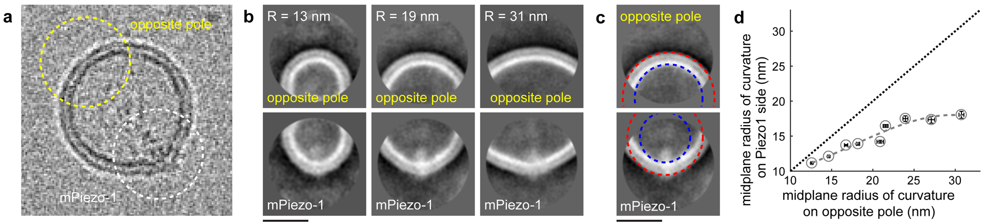 Fig 3.