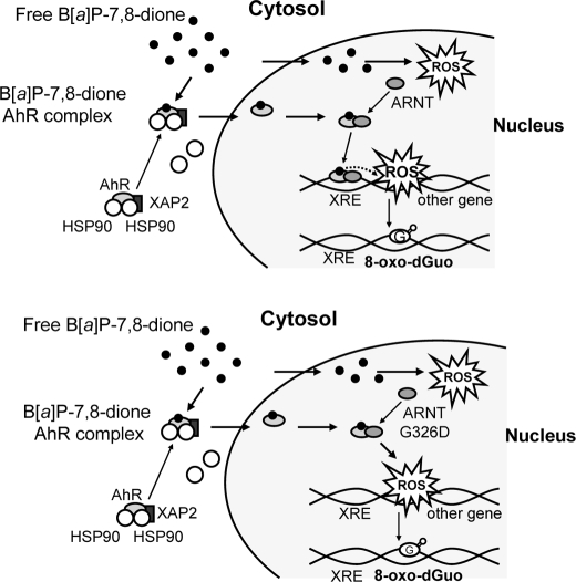 FIGURE 9.