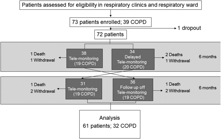 Figure 1