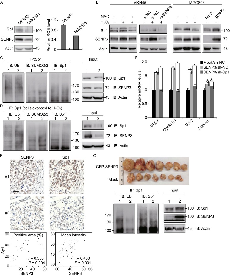 Figure 5