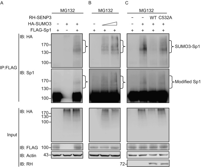 Figure 3